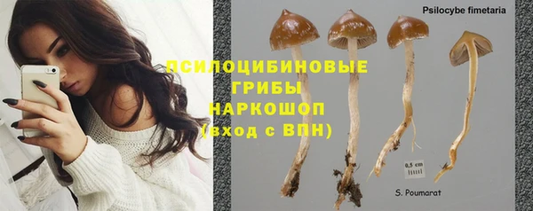 экстази Алзамай
