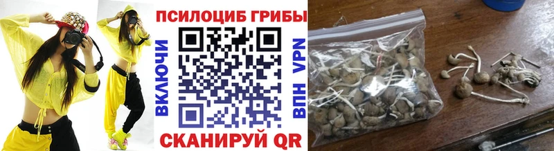 закладка  Миньяр  Псилоцибиновые грибы Cubensis 
